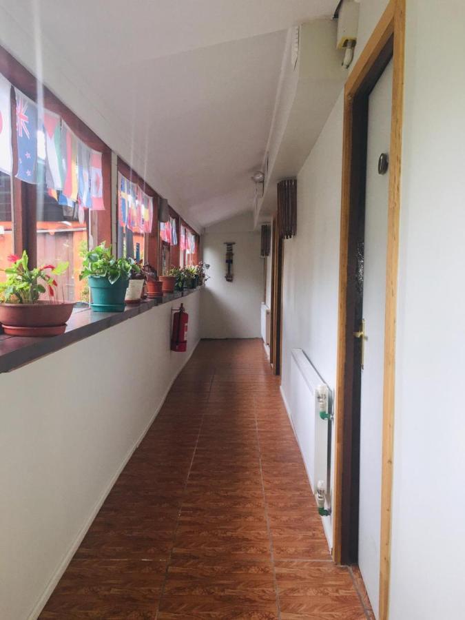 Hospedaje Irma Backpackers Pucon Bagian luar foto