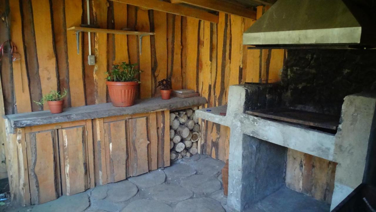 Hospedaje Irma Backpackers Pucon Bagian luar foto
